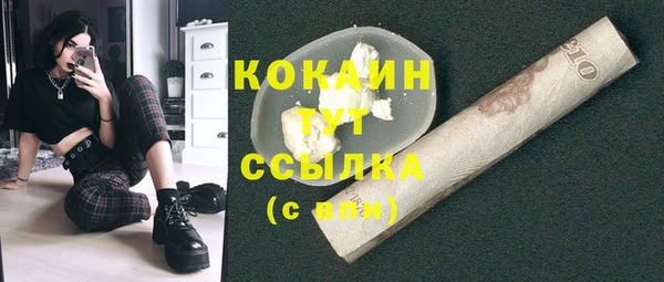 COCAINE Богородицк